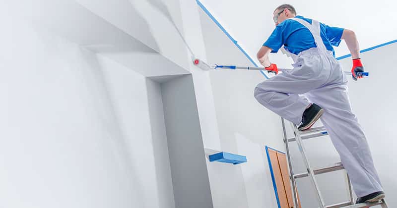 house painting and renovation with a person on a ladder